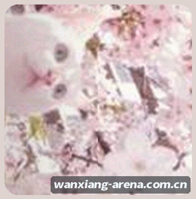 赵敏